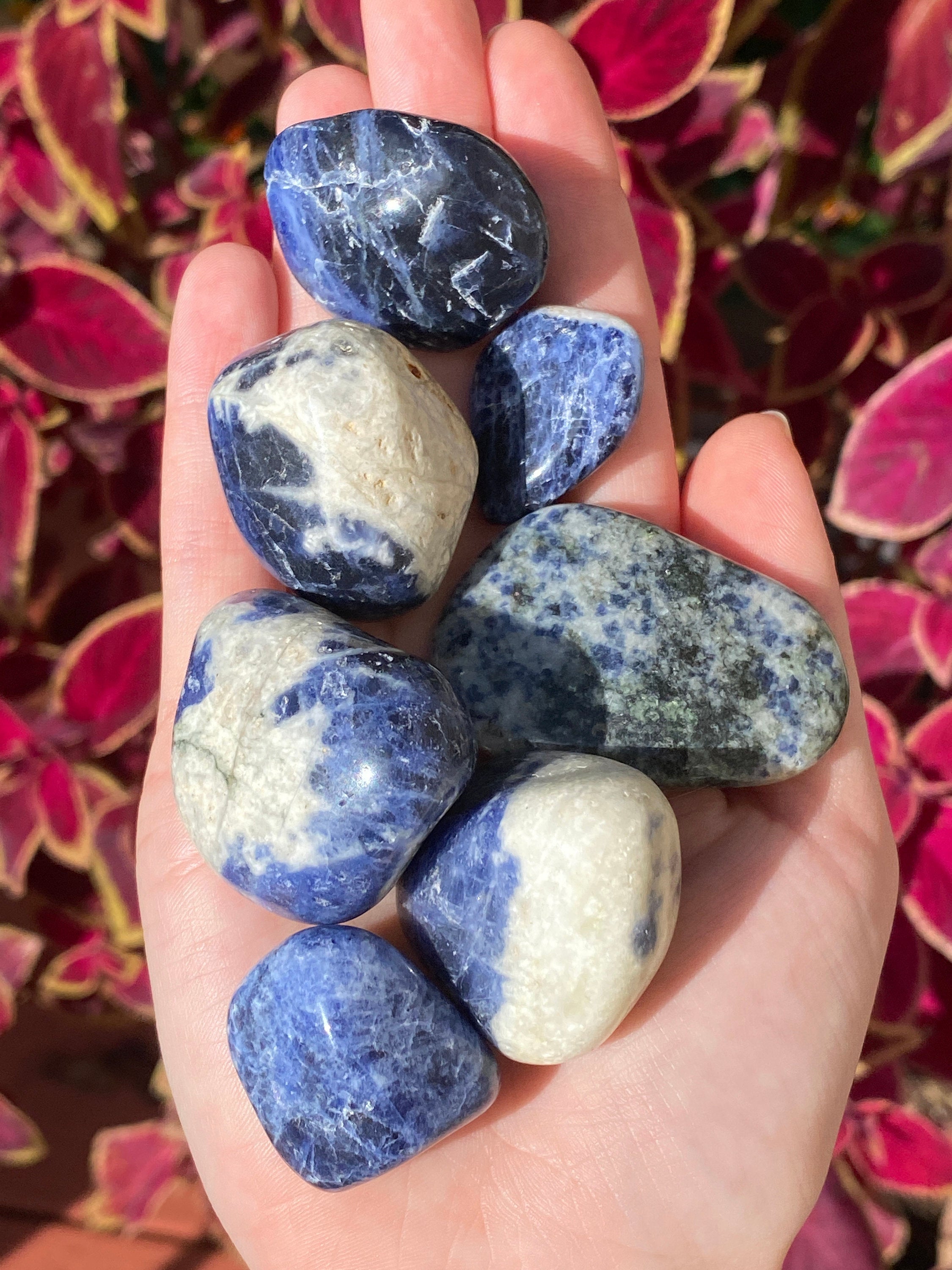 Tumbled Sodalite Stones | Crystal Energy Healing Craft Jewelry Making Natural Decor - Mama’s Malas jewelry